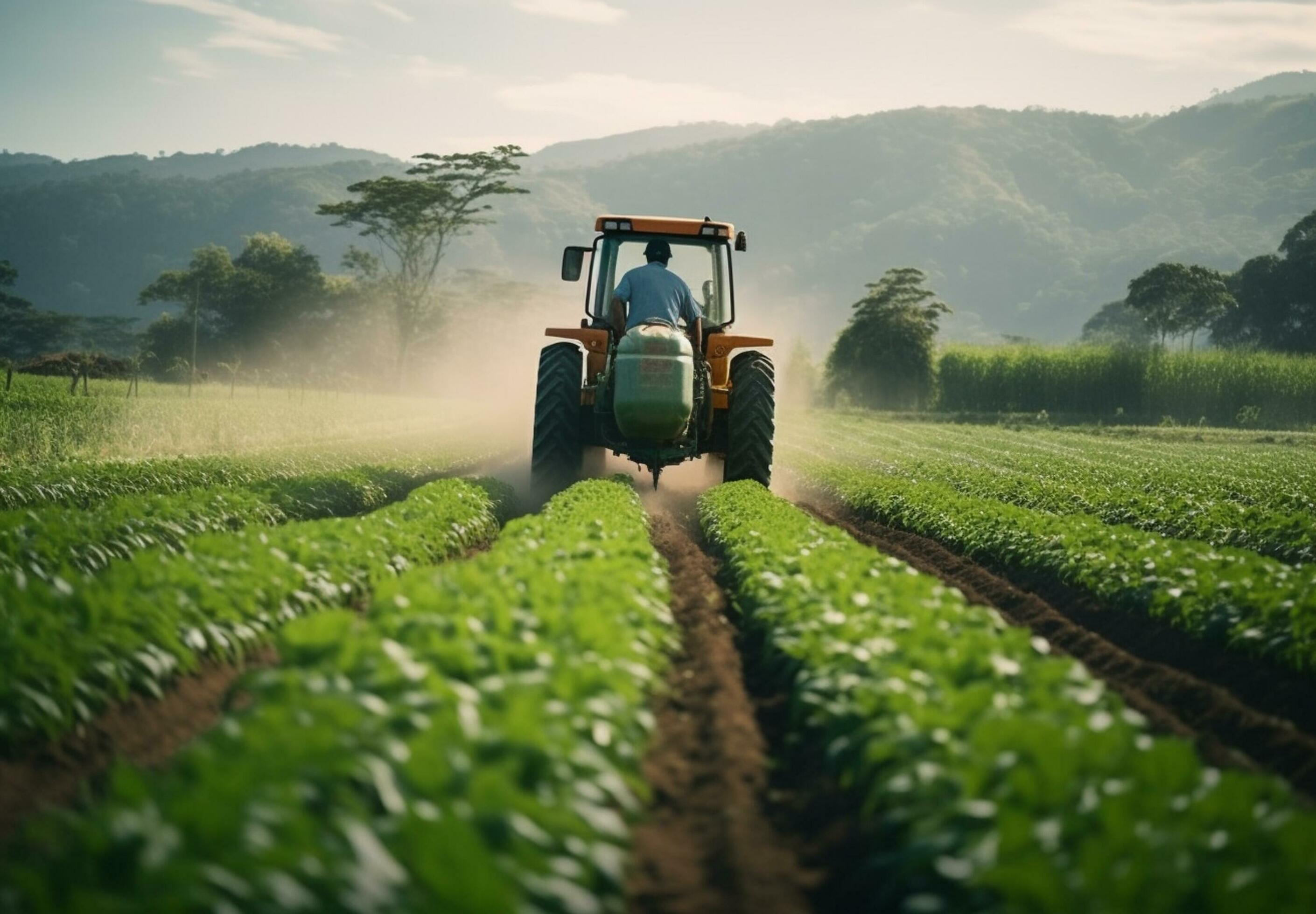 Agriculture Sector Solutions